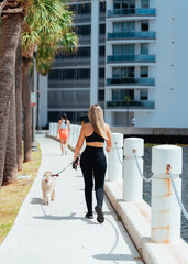 woman walking with dog beautiful scene lifestyle miami Brickell sport running morning  - obrazy, fototapety, plakaty