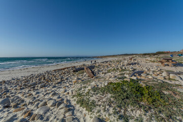 Big Sur - the most beautiful place in California.
