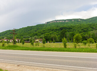 the road is located between a forest and a field on a sunny summer day.