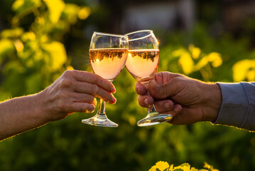 Toasting with two glasses of Champagne in the vineyard, Toasting with four glasses of Champagne in...