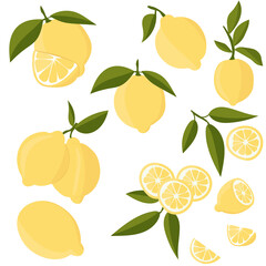 Set with lemons. Citrus cutting into slices, slices, circles. Ripe fresh lemons on a tree branch.