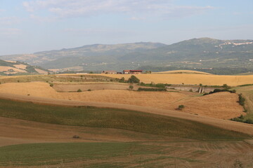 Fototapeta na wymiar Beautiful landscape of meadow in Campania, Italy. 