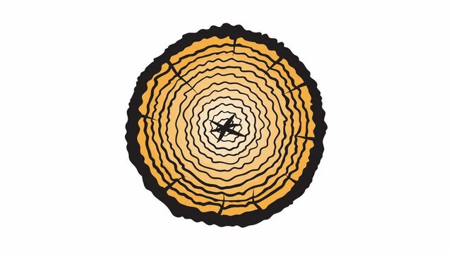 Wood circle stump trunks stop motion graphic animation background from top. Saw cross section cut tree woods with tree age rings digital cartoon.