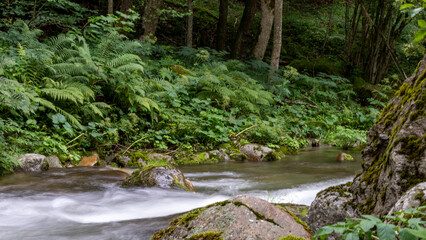 Dripping river in the mountains, its rocks and lush vegetation