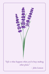 Postcard with lavender flower and motivational quote on violet background stock photo