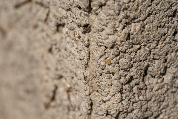 Stone texture