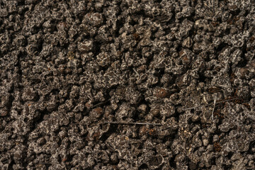 Stone texture
