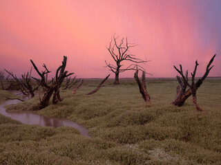 Porlock marsh sunset england uk 
