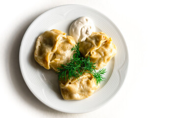 Fried asian dumplings Gyozas Or Russian, Ukrainian dumplings, potstickers in white ceramic plate served with sour cream. Close up. Asian dinner. Flat lay. White isolated background. Copy Space. 