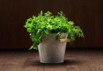 a bunch of green dill, parsley, salad and other greens in an iron bucket, dark wooden background, concept of fresh vegetables and healthy food