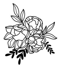 Line art peony bouquet. Outline flowers bouquet vector illustration