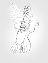 joyfully flying dove of peace