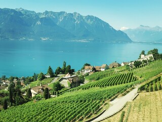Lac leman... Le lavaux