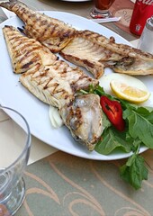 Grilled fish with vegetables