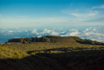 Fototapeta premium Morning views of Maui from the top of Mount Haleakala, Maui, HI.