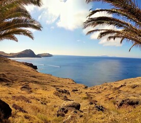 palm trees on the beach