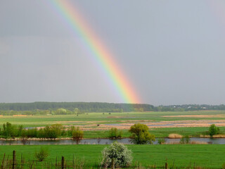 Rainbow over a field. Bright beautiful rainbow