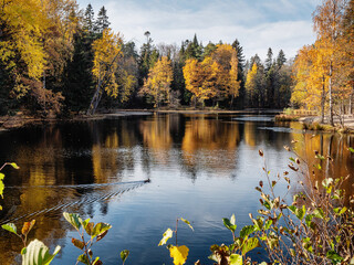 St. Petersburg in autumn, a natural monument landscape park 