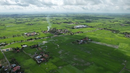 The Paddy Rice Fields of Kedah and Perlis, Malaysia