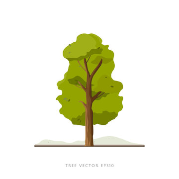Tree illustration vector icon landscape decoration element