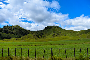 Fototapeta na wymiar The Countryside of New Zeland's South Island