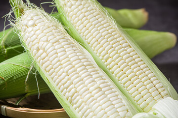 close up of sweet white corn cobs background