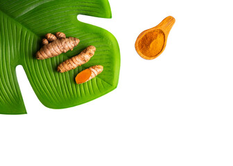Roots and fresh turmeric powder - Curcuma longa