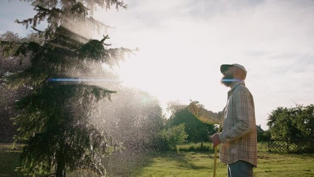 Man takes care of fir tree on a hot summer day in a garden spraying water. Man waters plants and trees with a hose at summer sunset in the backyard. Watering plants. High quality 4k footage