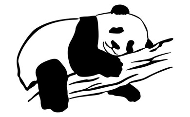 Adorable Panda vector