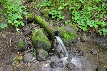 羅臼岳の弥三吉水（北海道・知床）
