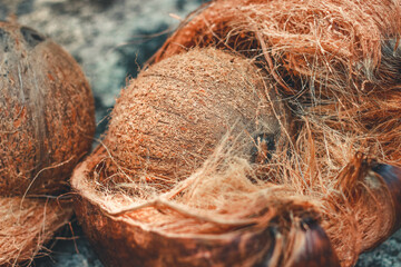 Coconut Shell with Exocarp | the edible fruit of the coconut palm (Cocos nucifera), a tree of the palm family. Coconut flesh is high in fat and can be dried or eaten fresh or processed into coconut 