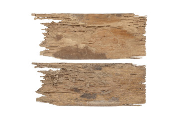 Old wood, decay isolated on white background with clipping path include for design usage purpose.