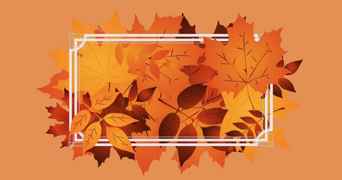 Animation of frame over leaves on orange background