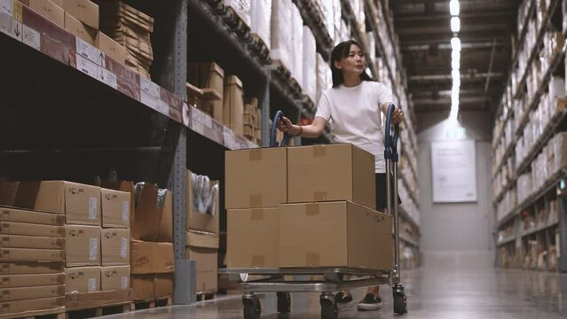 4k resolution.  Asian female shopping in large houseware store warehouse with trolley 