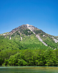 青い空に白い雲、さわやかな6月の風に吹かれて、新緑の美しい若葉を眺めながら憧れの上高地を散策
