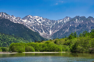 Fototapeta premium 青い空に白い雲、さわやかな6月の風に吹かれて、新緑の美しい若葉を眺めながら憧れの上高地を散策 