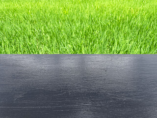 Top view of wooden table with rice field background.
