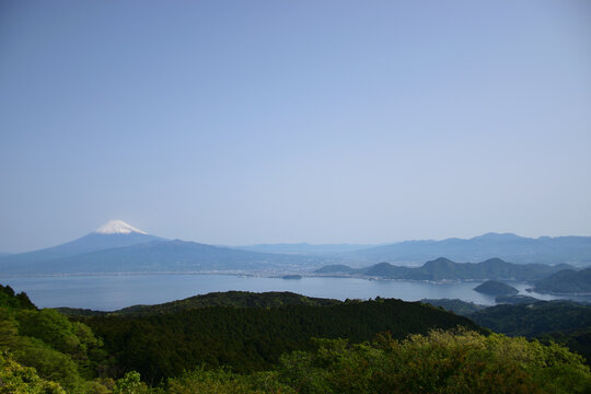 達磨山展望台