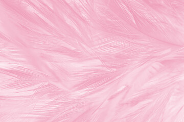 Beautiful light pink feather pattern texture background