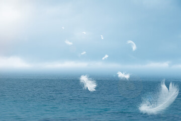 White feathers floating in the sky  pastel tone with sunlight. free space for add text or...