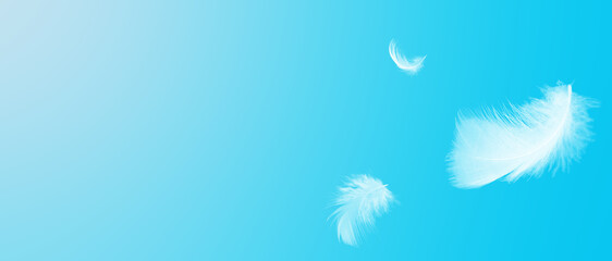 White feathers floating in the sky  blue pastel tone with sunlight. free space for add text or season