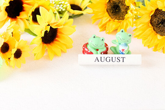 二匹のカエルと向日葵（8月）｜夏イメージ