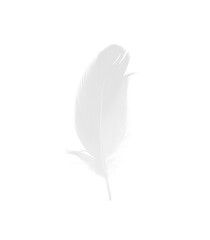 Beautiful sketching white feather on white background