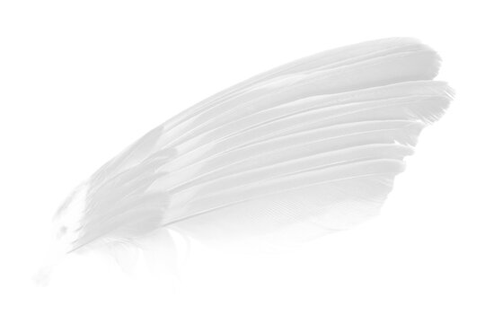 Wing white on white background