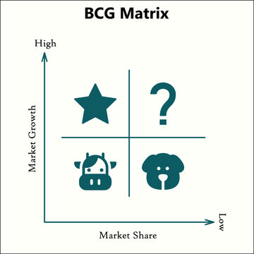 BCG Matrix - Star, Question marks, Cash cow and dog with Icons in a Matrix Infographic template