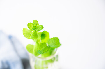 グラスに挿したミントの葉