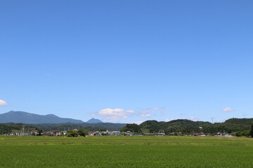 Fototapeta na wymiar 大きな青い空の下の農村風景
