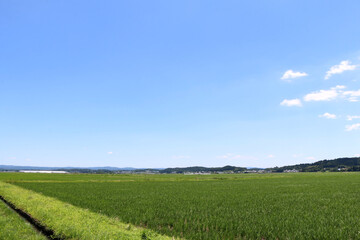 Fototapeta na wymiar 大きな青空の下の田園風景