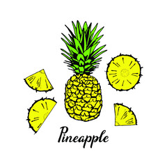 Pineapple set, slices and lettering. Vector illustration.