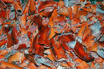 canadian lobster shells mostly used as fertiliser and base for the seafood soups and stocks